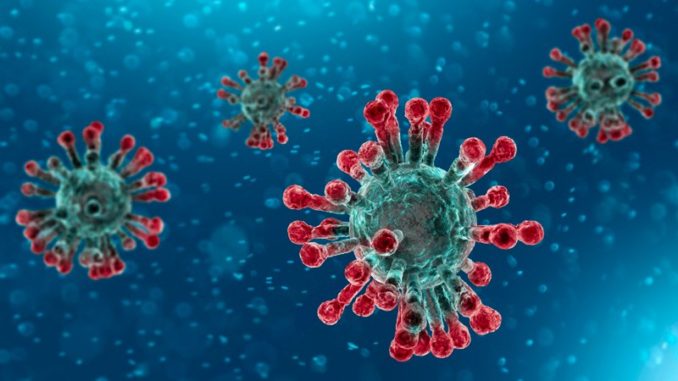 corona virus n